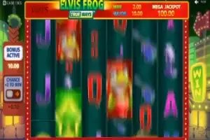 Todos os jogos de amanhã
